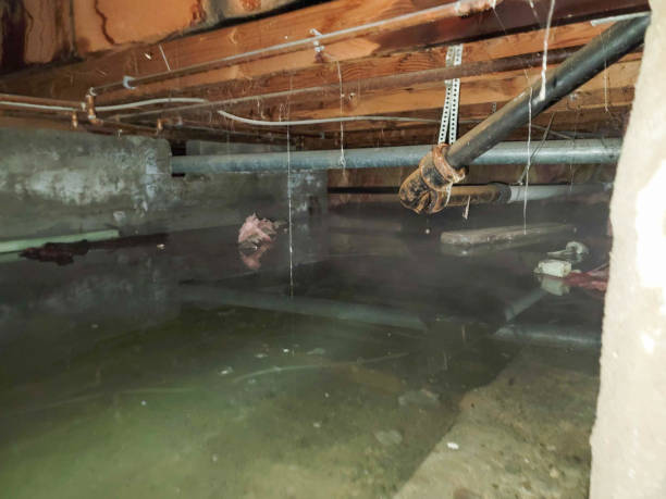 Sewage cleanup and water damage restoration in Mcalester, OK