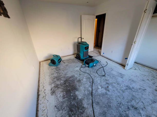 Best Local water damage restoration  in Mcalester, OK