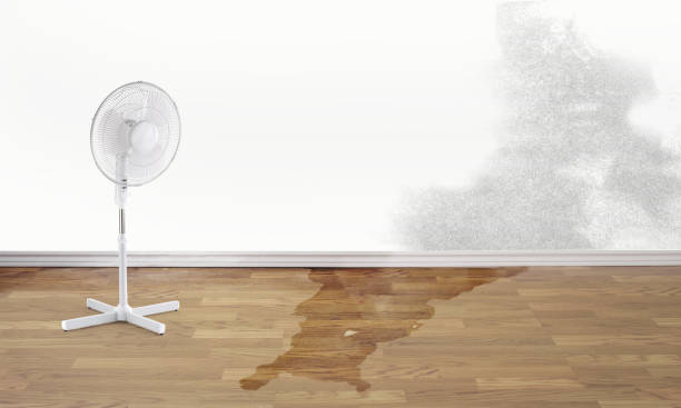 Best Basement water damage restoration  in Mcalester, OK