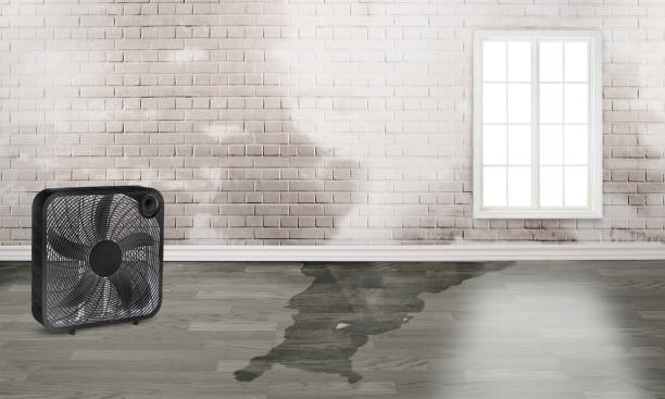 Best 24-hour water damage restoration  in Mcalester, OK