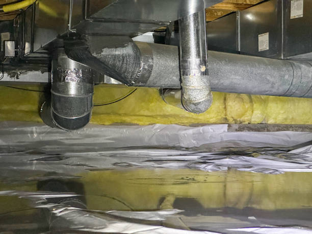 Best Water damage contractors near me  in Mcalester, OK