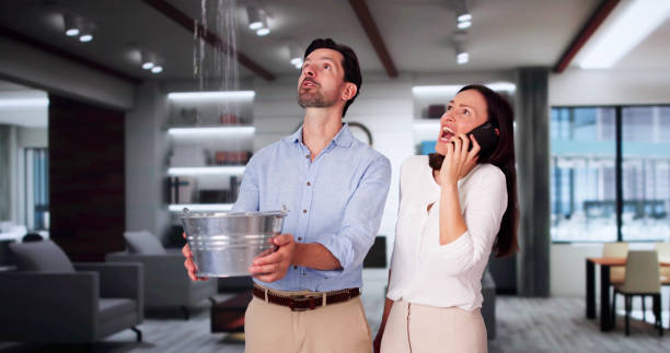 Best Ceiling water damage repair  in Mcalester, OK