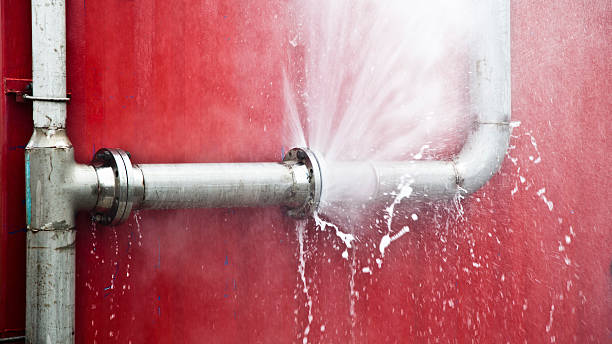 Best Water damage restoration mold remediation  in Mcalester, OK